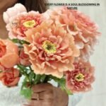 SHRINK PRINK PEONY BLOOMS