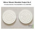 Mirror Mosaic Mandala Project No.3